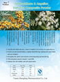 Seabuckthorn and Angelica Dahurica Composite Powder 2