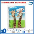 3D Notebook