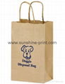 We Produce Kraft Paper Bag, Kraft Bag, Craft Bag