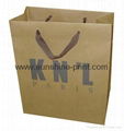 We Produce Garment paper bag, shopping bag