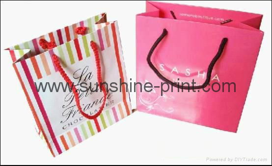 We Produce Garment paper bag, shopping bag 3