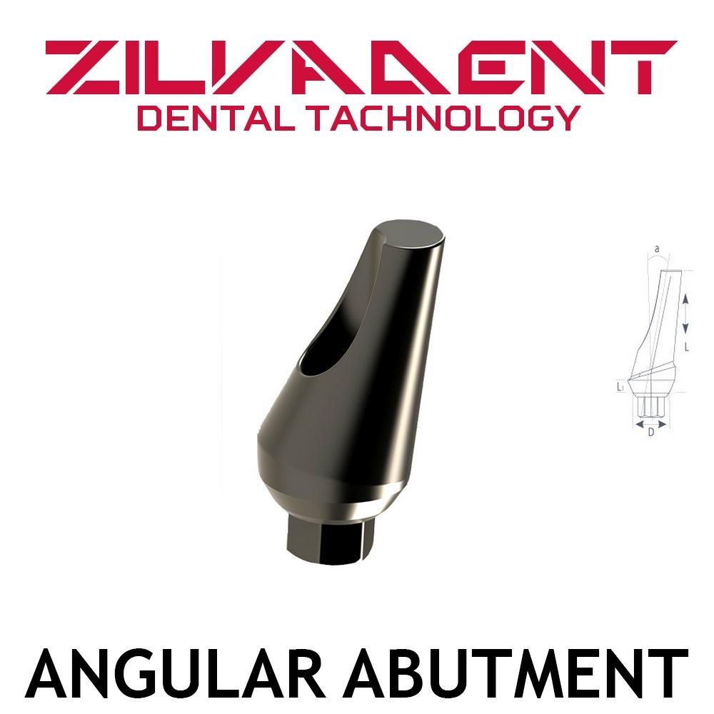   dental implant,  dental prosthetic  3