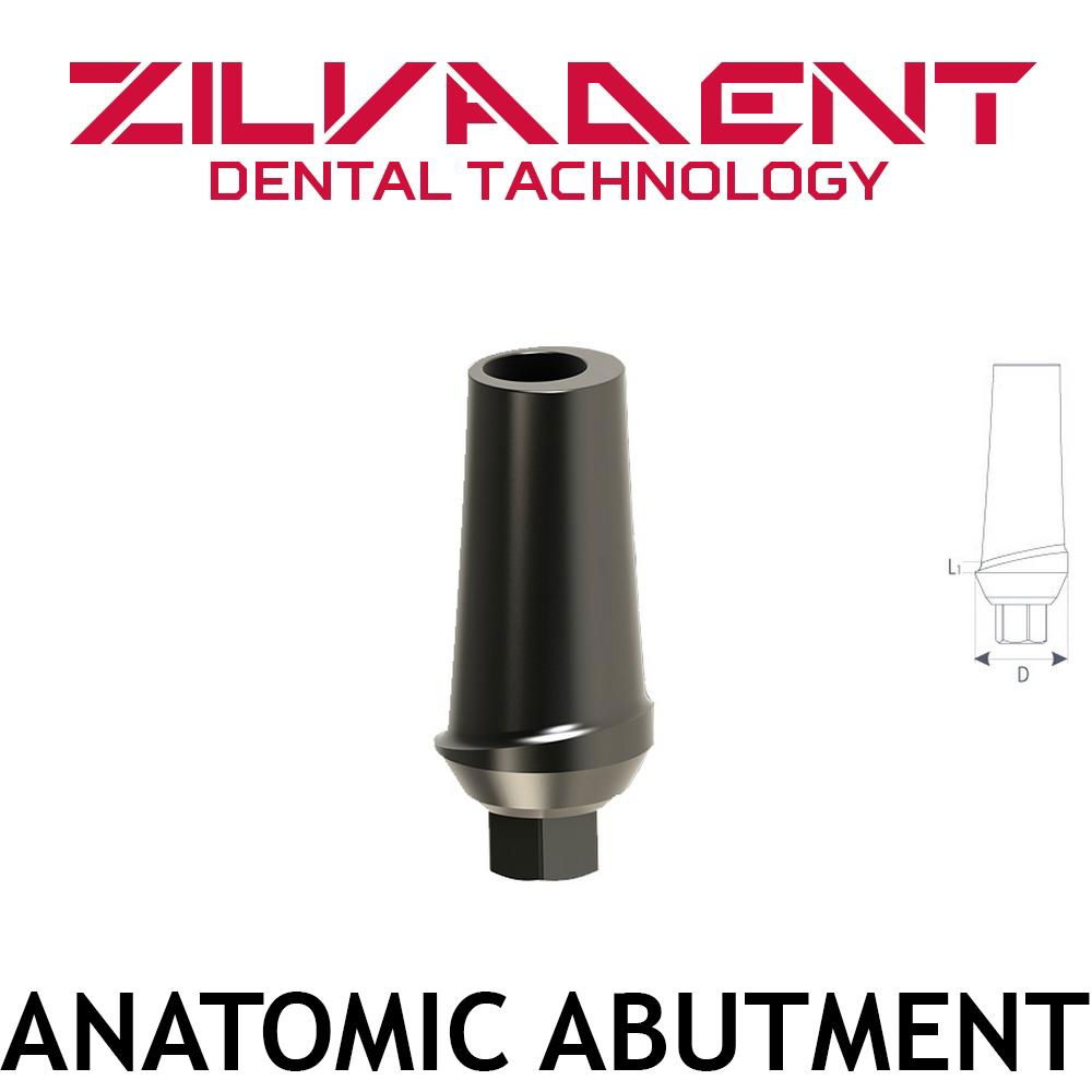   dental implant,  dental prosthetic  4