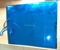 foil shopping bag 3