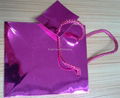 foil shopping bag 2