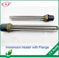 Immersion Heater