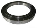 Slewing Bearing