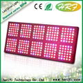 Herifi 200w 400w 600w 800w Led Grow Light for greenhouse 1