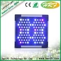 Explore series 300w 600w 900w full spectrum led grow light for plant growth and  3