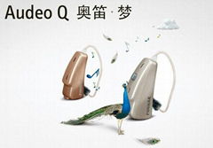 奥笛梦 Audeo Q90-10×P