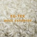 Sell Carpet Grade Wool