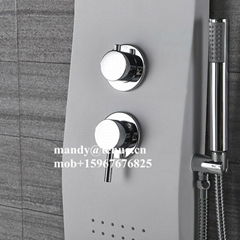 New arrival ABS shower panel