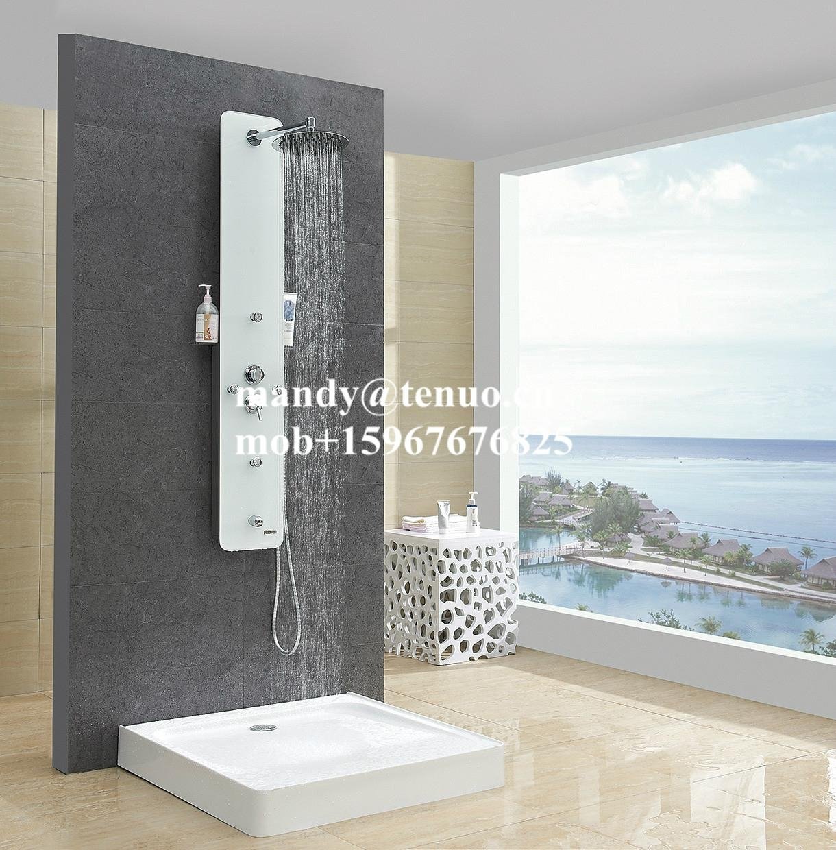 Glass shower panel with top shower 2