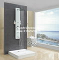 Glass shower panel with top shower