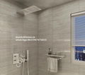 Concealed shower set