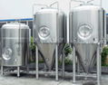 Fermentation Tank 1