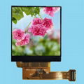 1.54 inch 240x240 TFT LCD module