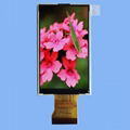 3.0 inch 960x240 TFT LCD module 2