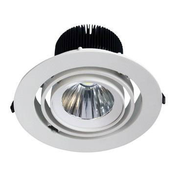 30W Round LED Downlight Spotlight Tiltable 