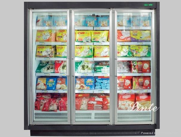 commercial upright frozen supermarket refrigerator/chiller/freezer 3