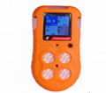 Gas Detector 1