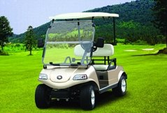 golf cart experss 2or 2+2  DEL3022G
