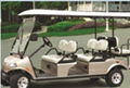 golf cart experss 4or4+2 del3042g2z