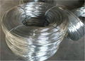 Galvanized Iron Wire 1