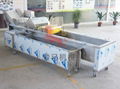 Ozone disinfection vegetables machine 2