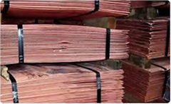 Copper Cathodes