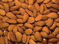 ALMOND NUTS AND PECAN NUTS CASHEW NUTS  PINE NUTS