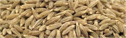 CUMIN SEEDS 3