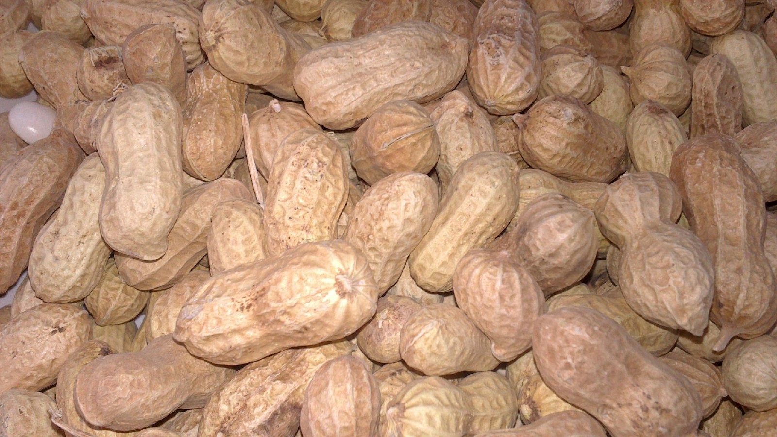 Peanuts in Shell and without 2