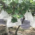 pp spunbonded nonwoven fabric for agriculture covers 4