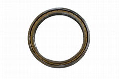 9889492x1 thrust cylindrical Bearing