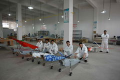 Wuhan AIBIRD UAV Co., Ltd.