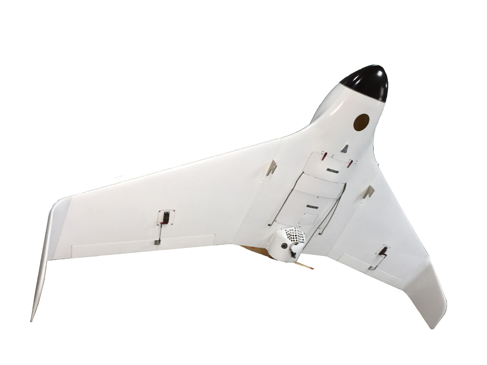 AIBIRD UAV KC2000 detal wing drone for Mapping & Surveillance