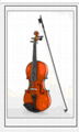 violin