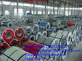 Prepainted steel coils 1