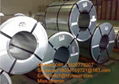  GI steel coils 5