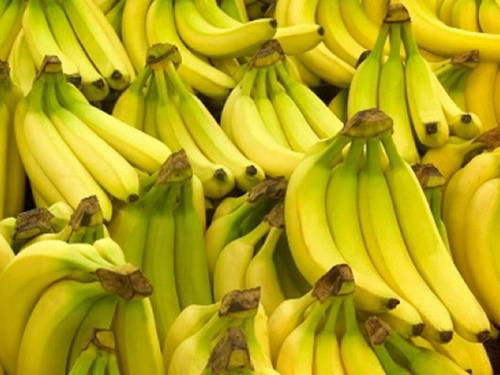 FRESH GREEN CAVENDISH BANANA 2