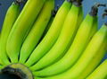 FRESH GREEN CAVENDISH BANANA 3