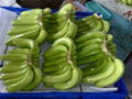 FRESH GREEN CAVENDISH BANANA 5