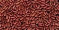 RED KIDNEY BEAN 1