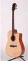 Acoustic guitar handmade XMY51