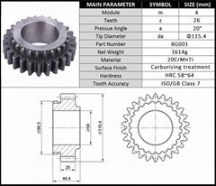 Customized Spur Gear Pitch