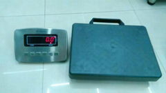 plastic scale