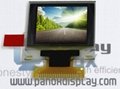 HK Panoxdisplay 1.12inch OLED Full Colour 1