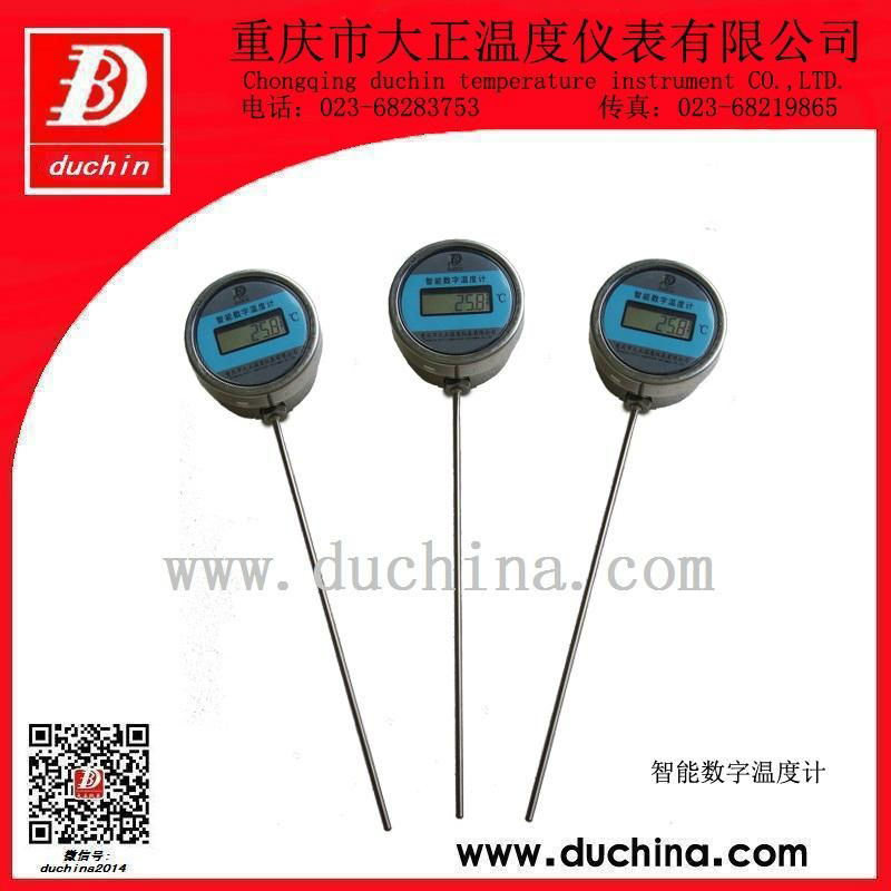 Industrial digital display thermometer  2