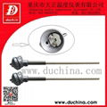 S type Industrial Platinum Rhodium thermocouple 1